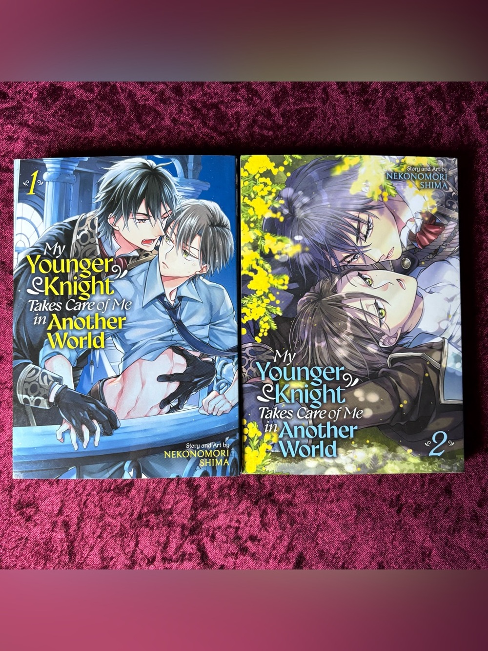 My Younger Knight Takes Care of Me in Another World Vol 1-2 manga